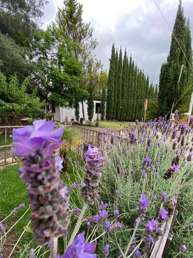 Hotel Boutique Calderon Huasca de Ocampo Bagian luar foto