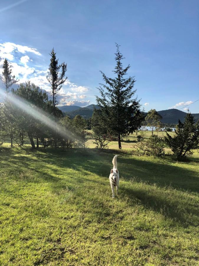 Hotel Boutique Calderon Huasca de Ocampo Bagian luar foto