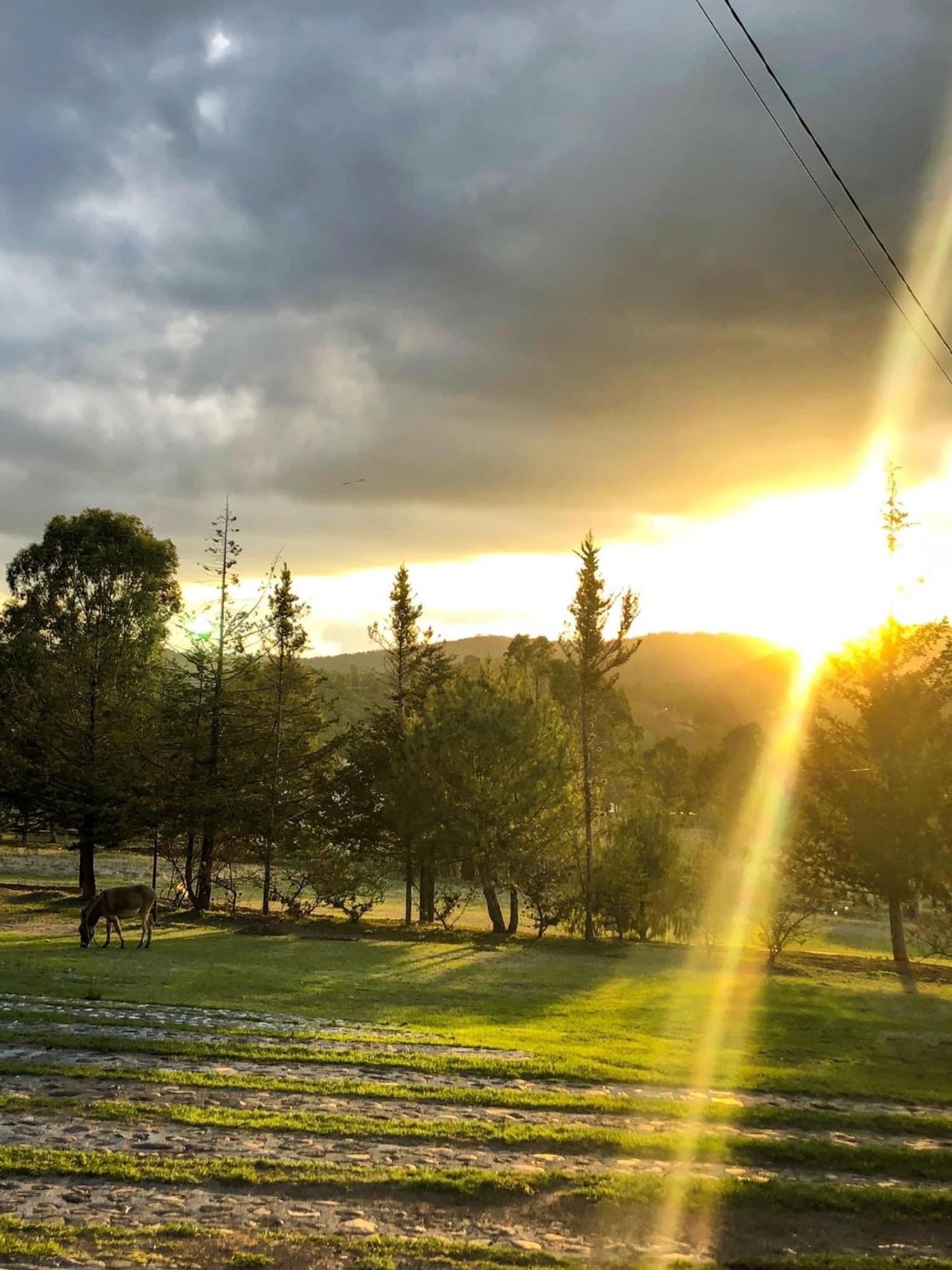 Hotel Boutique Calderon Huasca de Ocampo Bagian luar foto